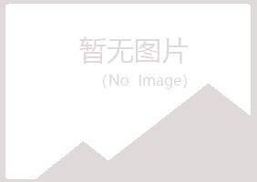 宝山区含蕾机械有限公司